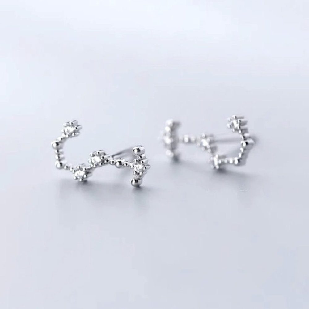Scorpio Constellation Star Galaxy Space Astrology Zodiac Sterling Silver Earring